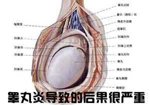 غ����ʹ����ô����